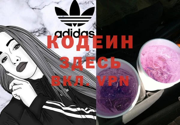 соль ск Коряжма