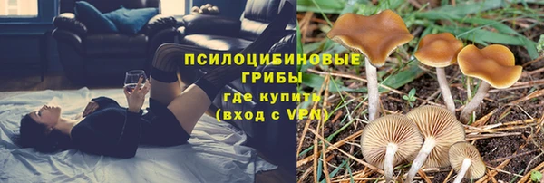 тгк Новочеркасск
